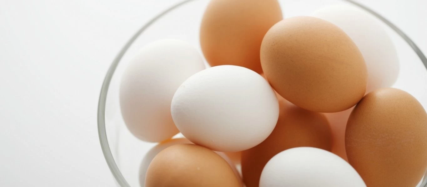 Το γνωρίζατε; - Μπορεί ένα αυγό να... σταθεί όρθιο κατά τη διάρκεια μιας έκλειψης ηλίου; (βίντεο)